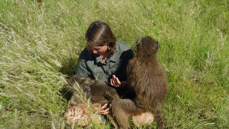 Dierendokter in het wild